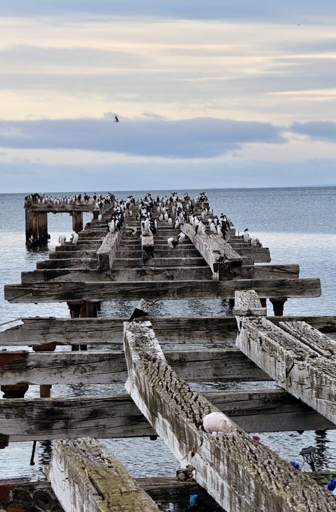 hito 16 muelle loreto